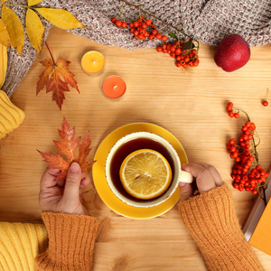 女性双手捧着一杯热茶,秋意平和的斯堪的纳维亚拥抱风格,配上黄叶舒适