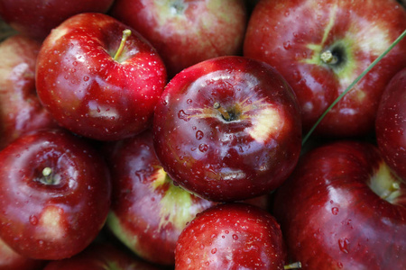 饮食 素食主义者 健康 颜色 水果 甜点 营养 美味的 夏天