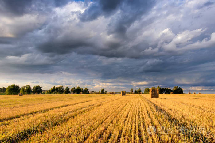 秋天天空多云田野上的干草堆