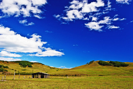 草坪 自然 全景 天啊 农业 农田 小山 风景 美丽的 春天