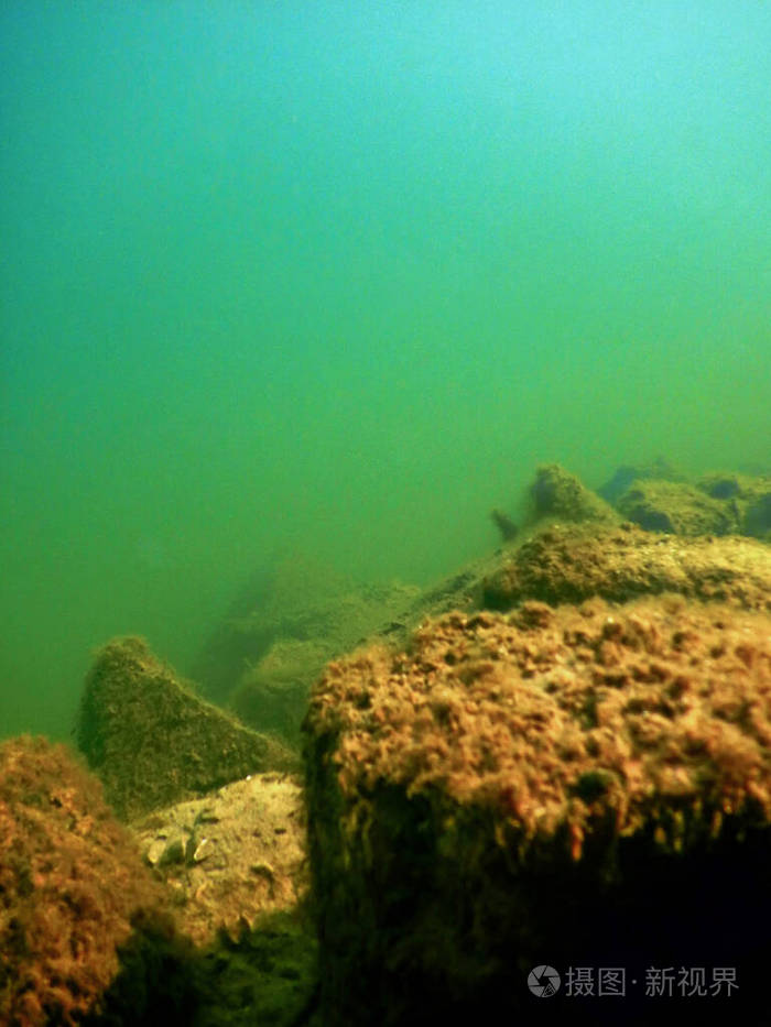 水下淡水植物群水下底部河流湖泊