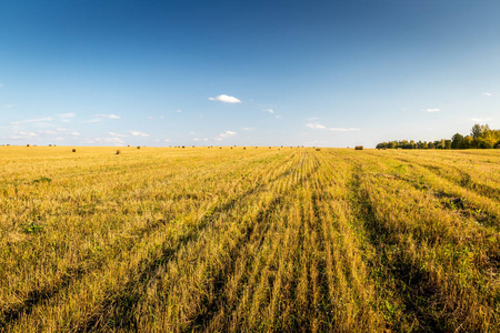 秋天天空多云的季节，田野上有干草堆。