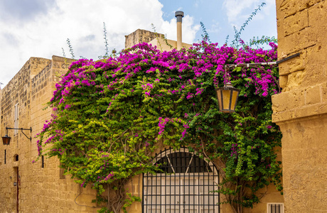 伦敦-大本钟和议会大厦,英国高楼大厦和高架桥在金融区的城市夜景北京