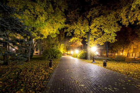 秋天的夜景公园,黄叶飘落.照片