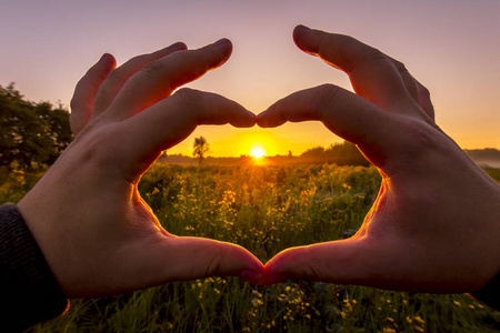 开满鲜花双手在心的形状映衬着日出的田野上开满了鲜花.照片