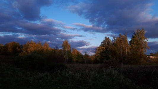 秋天 森林 天空 傍晚 自然 季节 风景