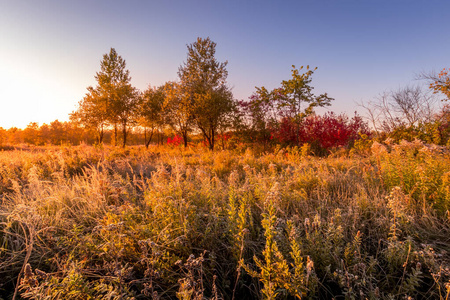 初秋清晨霜冻覆盖的田野上日出的景象。