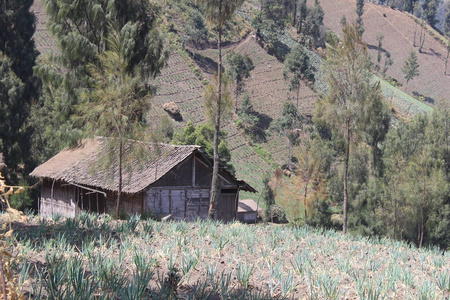 自然 风景 废弃房屋 古老的 草地 建筑学 乡村 小屋 国家