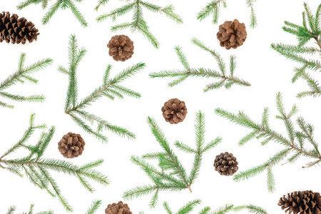 Christmas pattern of fir tree branches and pine cones on white. 