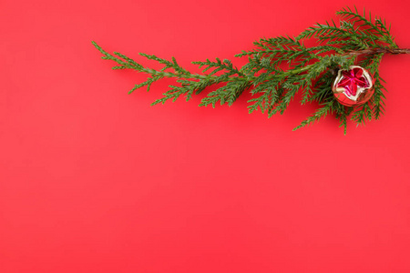 红色背景上有圣诞玩具的绿色杜松枝。新年背景。