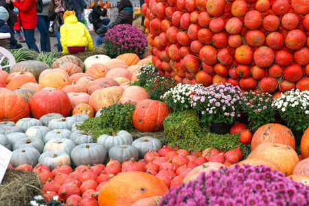 农业 季节 收获 农场 感恩节 万圣节 落下 食物 自然
