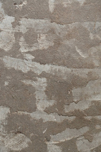 古老肮脏的混凝土背景，有着深邃清晰的纹理