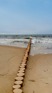 海滨 海岸线 海湾 地平线 旅行 波动 波兰 冲浪 风景