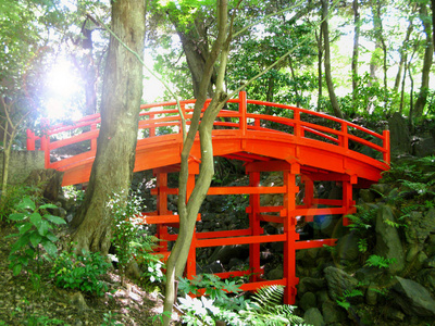 落下 春天 寺庙 花园 亚洲 季节 日本 人行道 五颜六色