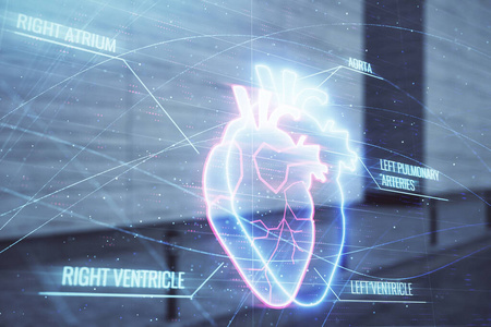 医学教育理念在现代计算机背景下,创造性地抽象心脏脉搏全息图,在线
