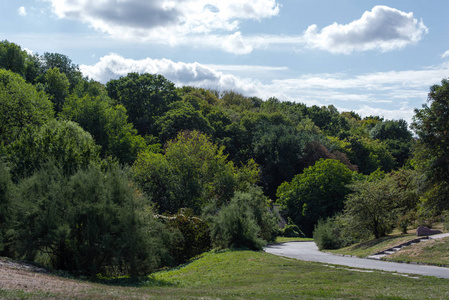 日光 环境 自然 植物 公园 风景 木材 树叶 复制空间