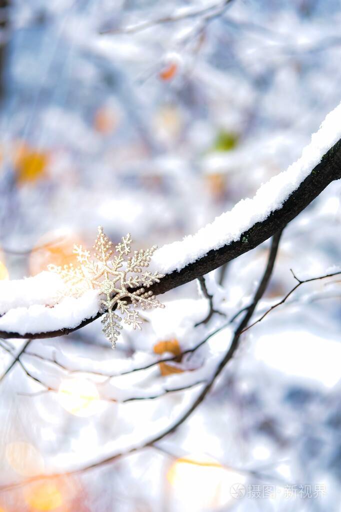 听雪图片雪花飘落图片图片