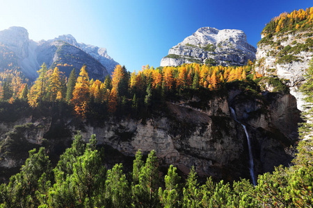 意大利 美女 森林 风景 皮兹 场景 阿尔卑斯山 全景图