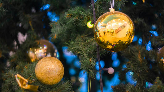 圣诞树背景上的圣诞黄球