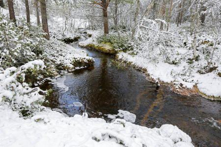 First snowfall 