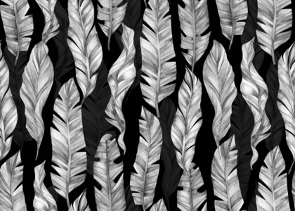 纹理 墙纸 自然 纸张 织物 植物 冬天 皱巴巴的 特写镜头