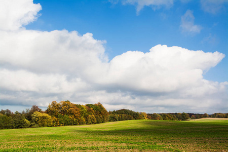 波兰 环境 植物 乡村 草地 风景 农场 天空 阳光 领域