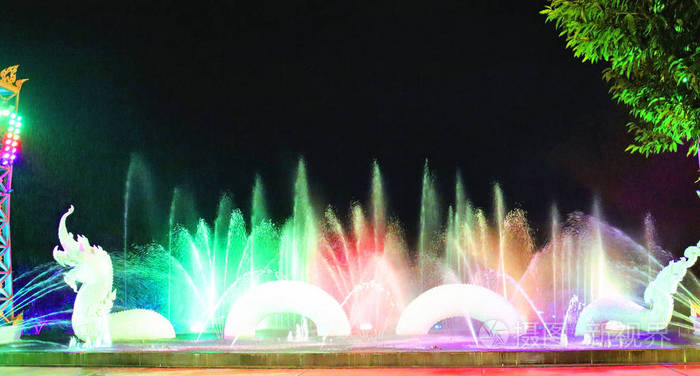 海滩 椰子 旅游业 植物区系 花园 木材 泰国 假期 天堂