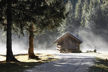 薄雾 森林 木材 旅游业 小屋 自然 黎明 草地 小山 欧洲