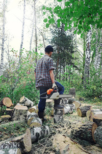 劳累的伐木工人在森林里用电锯辛勤劳作。伐木工人用电锯砍倒桦树。