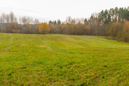 beautiful field with autumn trees around.Landscape.  