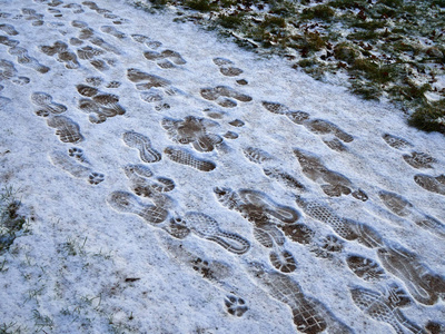 在雪地里追踪脚印