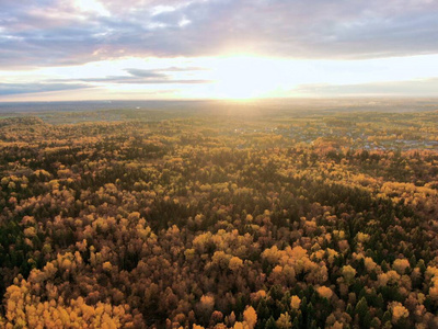 Aerial view of the golden autumn forest. Beautiful panorama of t