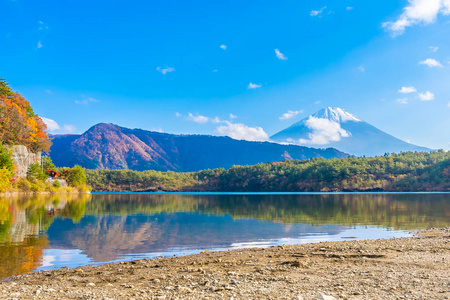 富士山风景秀丽，周围有枫叶树