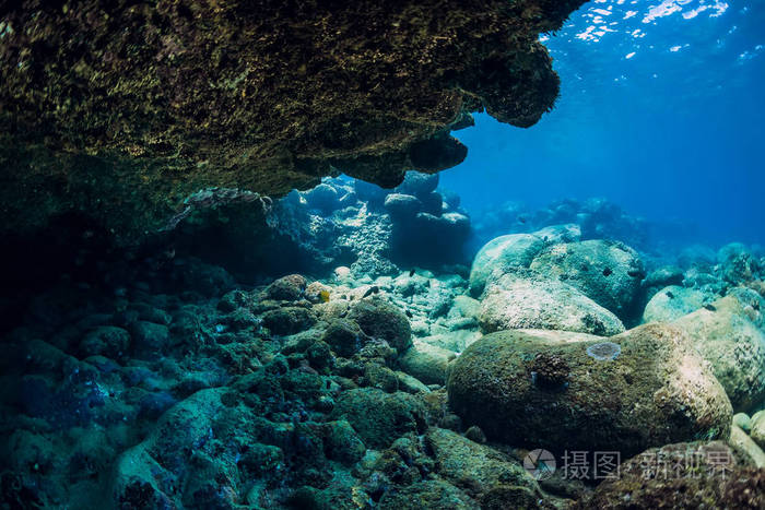 有岩石和石头的水下场景热带海洋