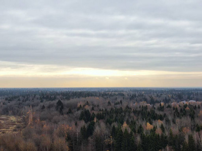 Aerial view of the golden autumn forest. Beautiful panorama of t