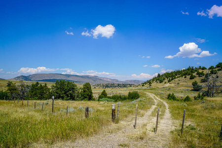 丘陵 苏格兰 天空 小山 全景图 农业 森林 夏天 风景