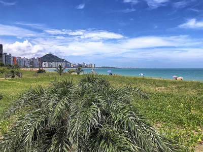 天际线 巴西人 高的 自然 普拉亚 夏天 美丽的 风景 地标