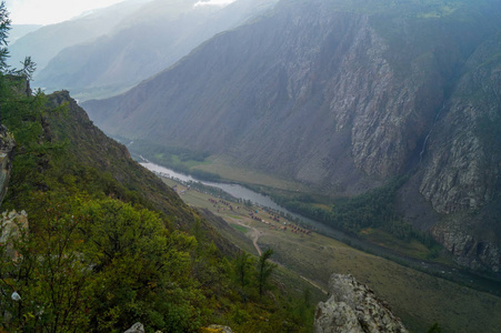 风景 阿尔泰 森林 自然