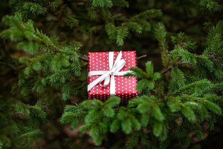 圣诞红色礼品盒，绿色冷杉树枝新年背景