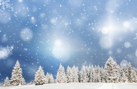 令人惊叹的圣诞背景与雪松冬季景观