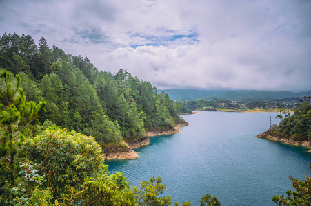 森林 夏天 美丽的 公园 天空 克罗地亚 风景 海洋 旅行