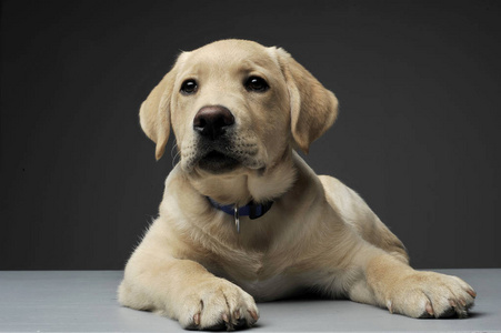 好奇地看着图片