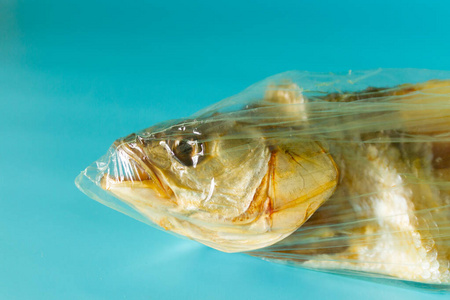 塑料袋里的鱼