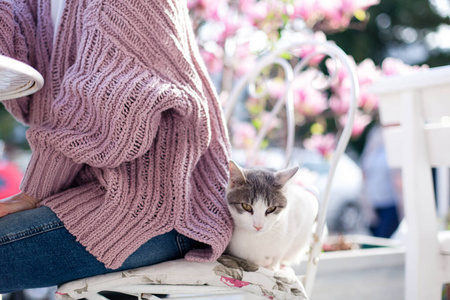 年轻的女人和猫坐在城市街道上春天咖啡馆的椅子上.