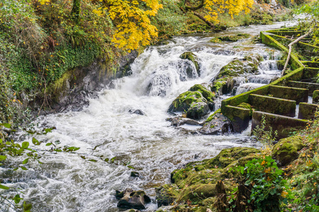 Tumwater Falls Park Rapids 3号瀑布公园