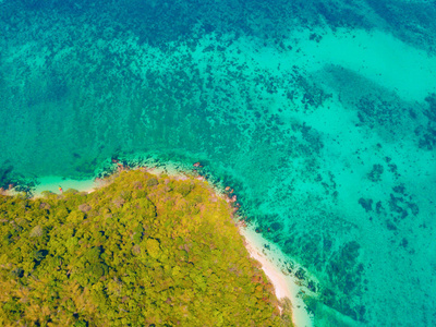 玛雅水材质贴图图片