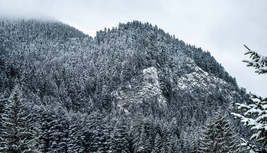 冬天巍峨的群山，白雪皑皑的云杉。美丽的冬日景色。雪山美景。旅行背景