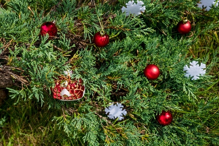 圣诞树上挂着色彩鲜艳的圣诞装饰品装饰背景为冬季庆祝和装饰圣诞节树。漂亮红球在白色上庆祝节日