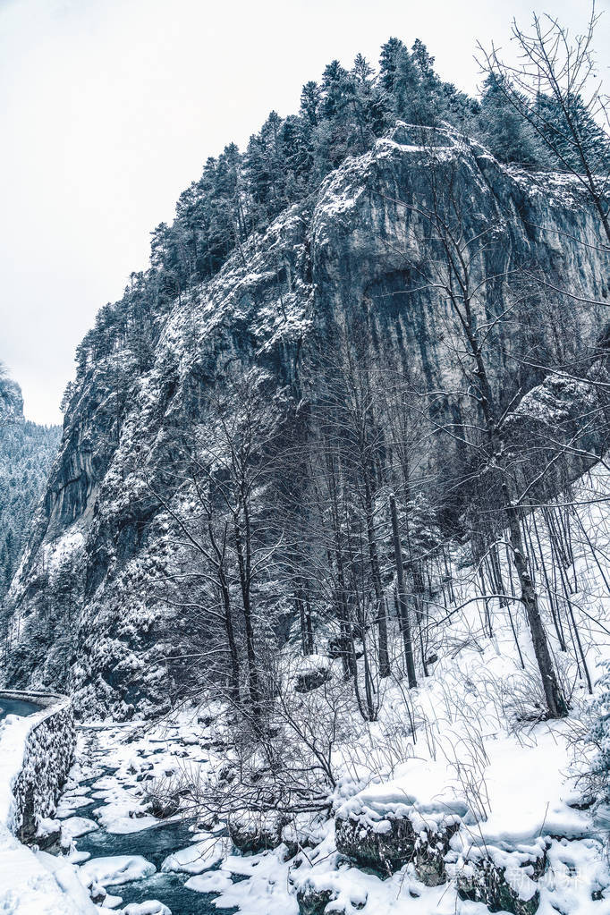 美丽的冬日景观,有着霜冻的河流.雪山美景.罗马尼亚旅游背景
