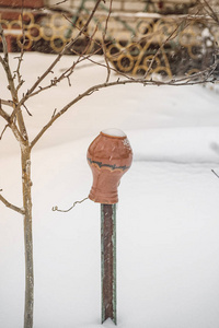 挂在被雪覆盖的树上的陶罐。冬季。陶器。雪天挂在一棵小树上的褐色陶罐。